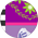 Prints11.png