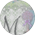 Spec14.png